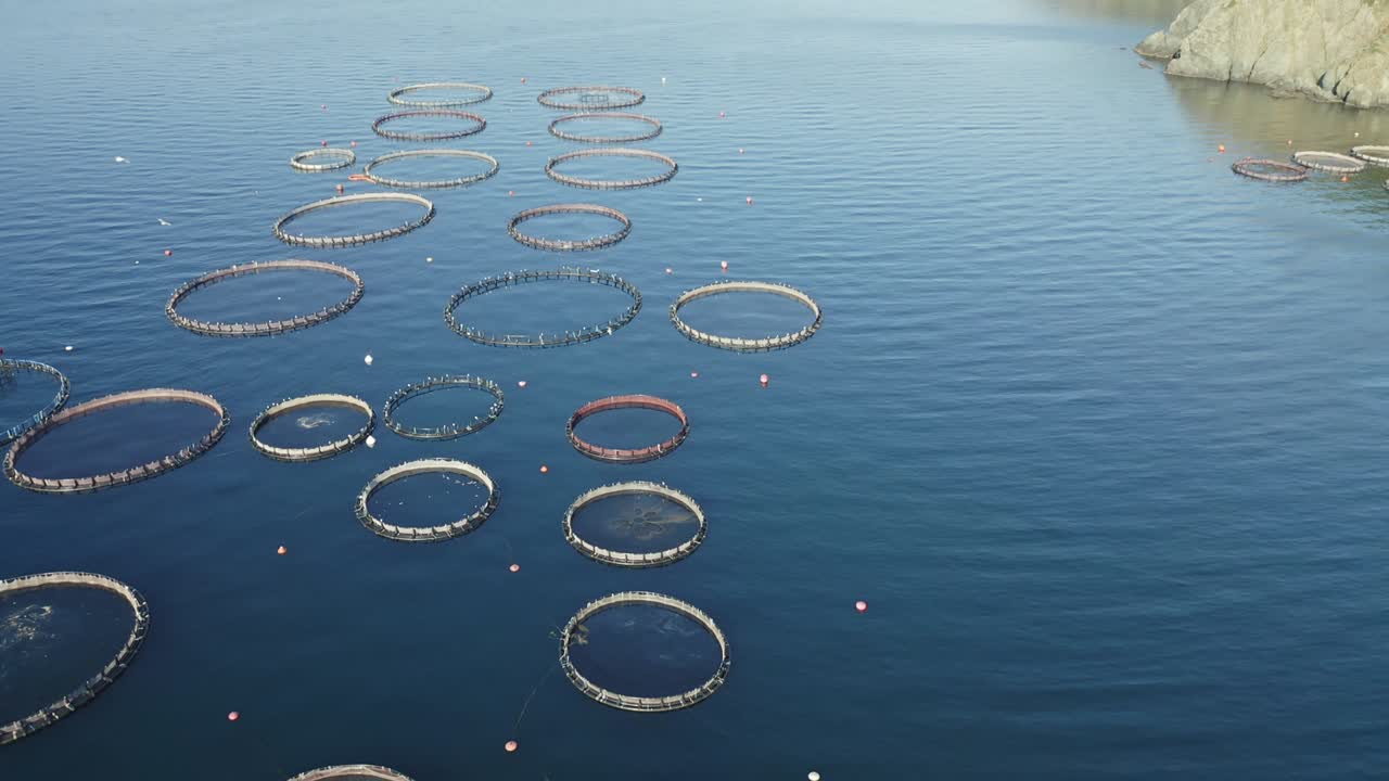 어류 농장은 어두운 파란 바다에 있습니다.