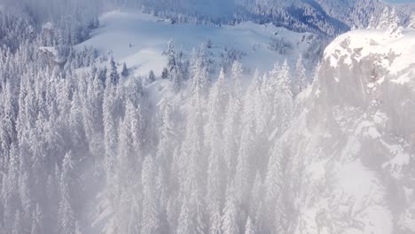 Winter-aerial-wonder:-Drone-footage-captures-the-enchanting-beauty-of-snow-covered-mountain-pines-embraced-by-misty-clouds,-a-mesmerizing-spectacle