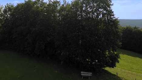 Unveiling-aerial-shot-starting-behind-a-green-tree-up-to-the-view-over-a-green-forest-under-blue-sky-at-summertime