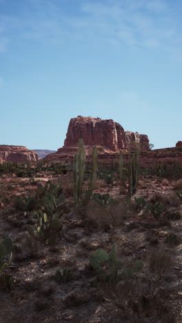 arid desert landscape with cactus and mountains