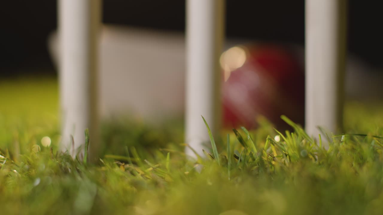 크리켓은 잔디 뒤에 잔디에 누워있는 공과 박의 클로즈업으로 여전히 삶입니다.