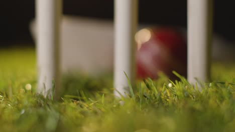 cricket still life with close up of ball and bat lying in grass behind stumps 4