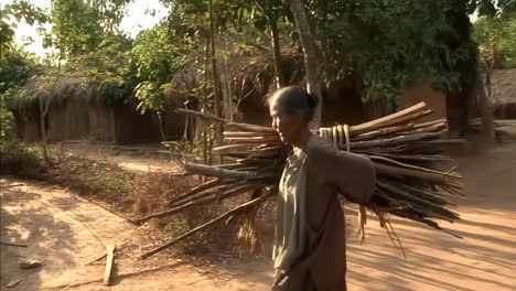 person carrying firewood on a dirt path in a rural village