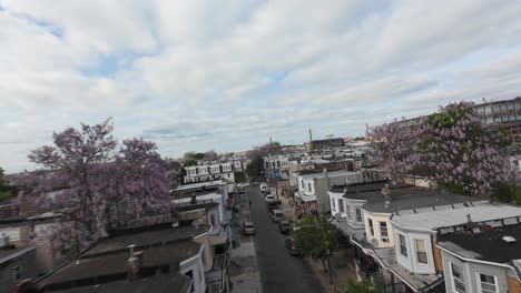 Pink-blossoms-on-trees-in-Kensington,-Philadelphian-neighborhood-during-spring