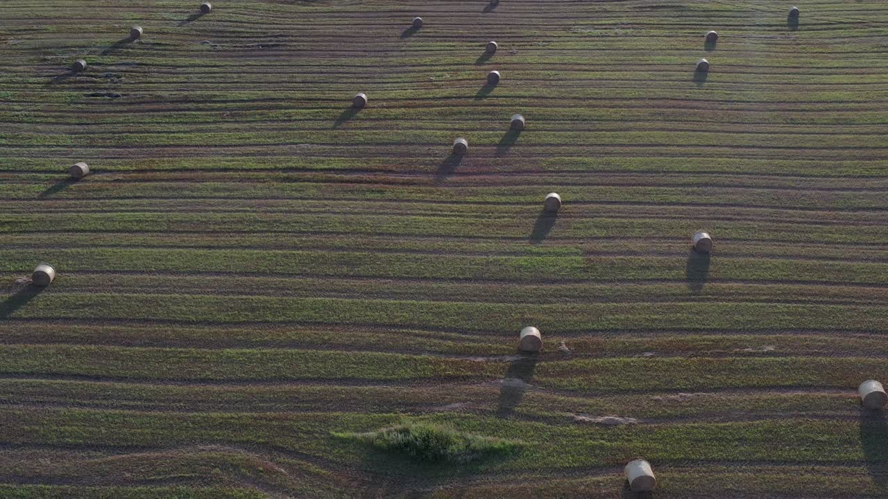 수확 된 여름 끝 농작물 에서  롤, 공중