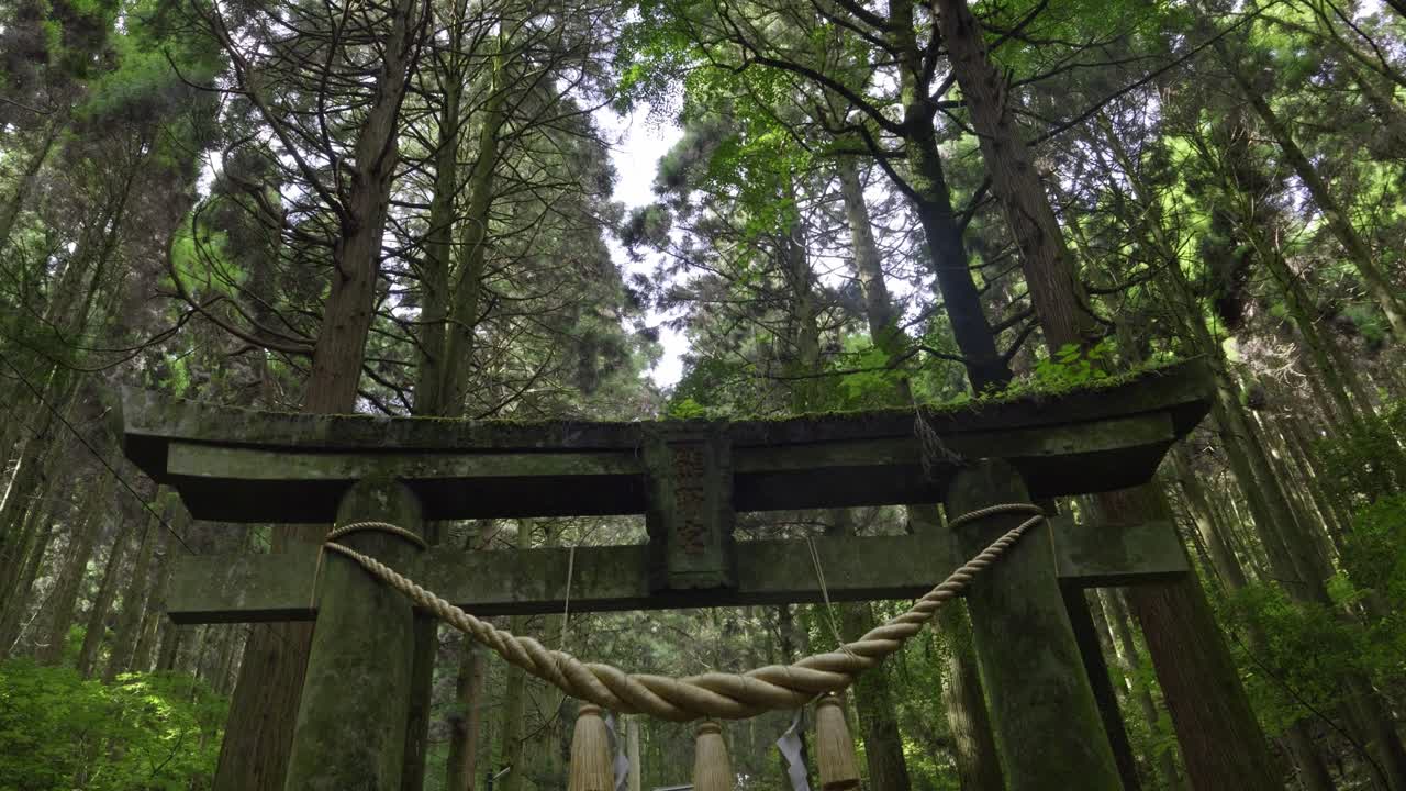 Perfect stone Torii gate inside deep lush mysterious forest