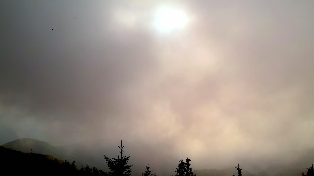 воздушный полет сквозь туман и над хвойными деревьями в горах голубого хребта и аппалачах