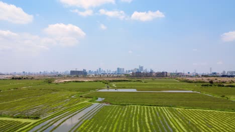 aerial of mimosa agricultural land in foreground with phnom penh city skyline buildings at distance