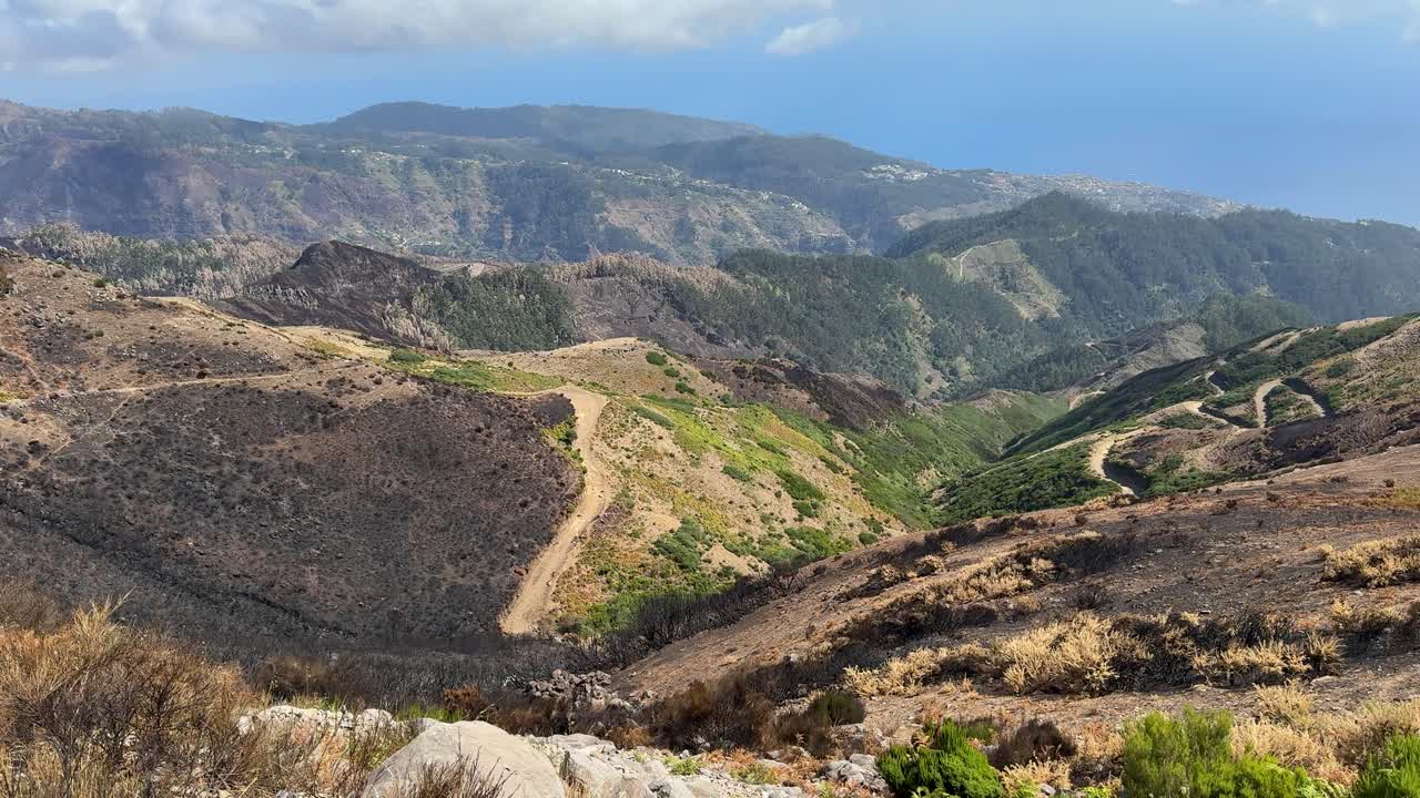 Madeira's scorched mountains, burnt vegetation, and resilient landscapes recovering after wildfires.