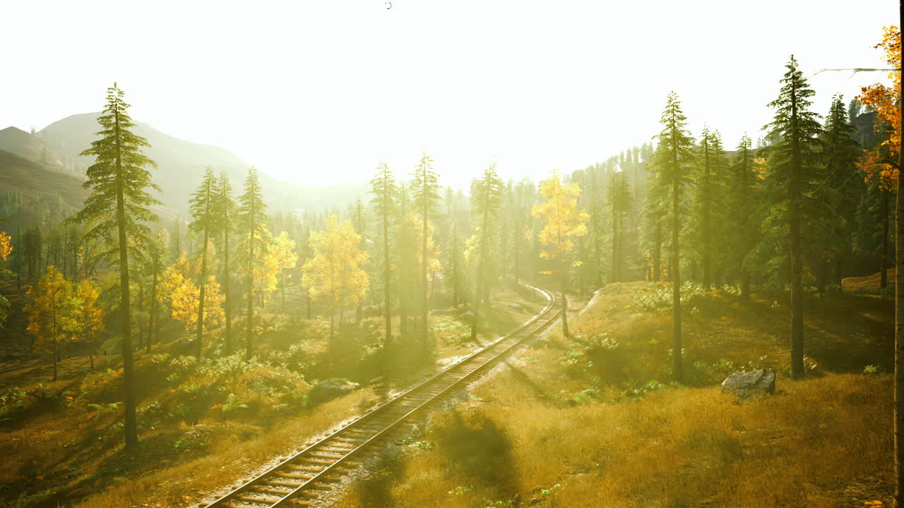 숲 속 의 경치 좋은 철도 트랙 과 배경 에 있는 산 들