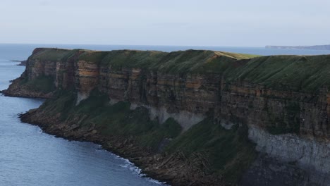 Panning-shot-showing-birds-flying-and-nesting-on-the-edge-of-a-cliff