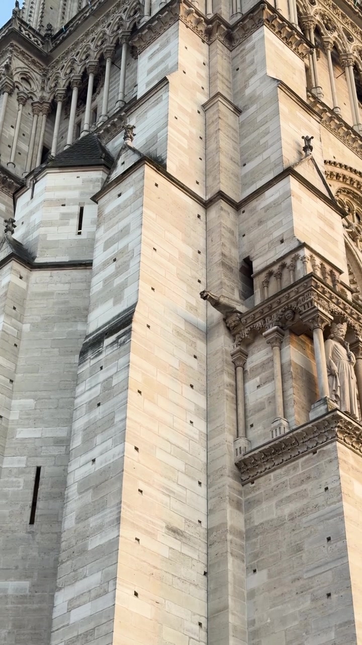 Vista dal basso dell'architettura gotica della Cattedrale di Notre Dame, Parigi.