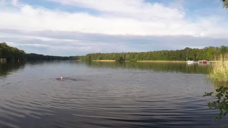 old man swimming in the lake