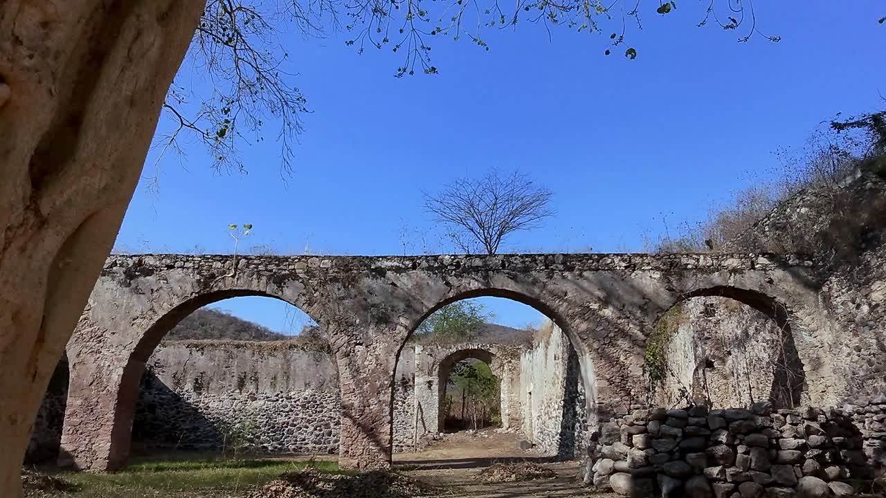 Large tree growing inside the ruins of the arches of the former Hacienda de San Jacinto Ixtoluca, in Morelos, Mexico, with a blue sky in the background, drone flying through