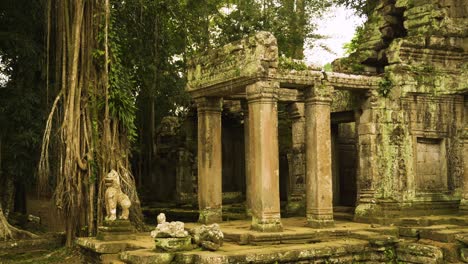 las ruinas del templo de preah khan, angkor, camboya