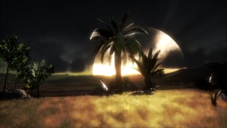 puesta de sol en las dunas de arena