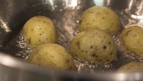 boiling potatoes in a pan