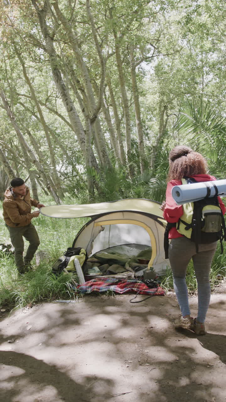 Vertical video of biracial couple pitching tent in forest, slow motion