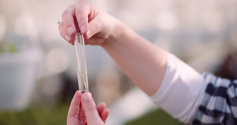 Botanist-Examining-Plants-At-Greenhouse-3