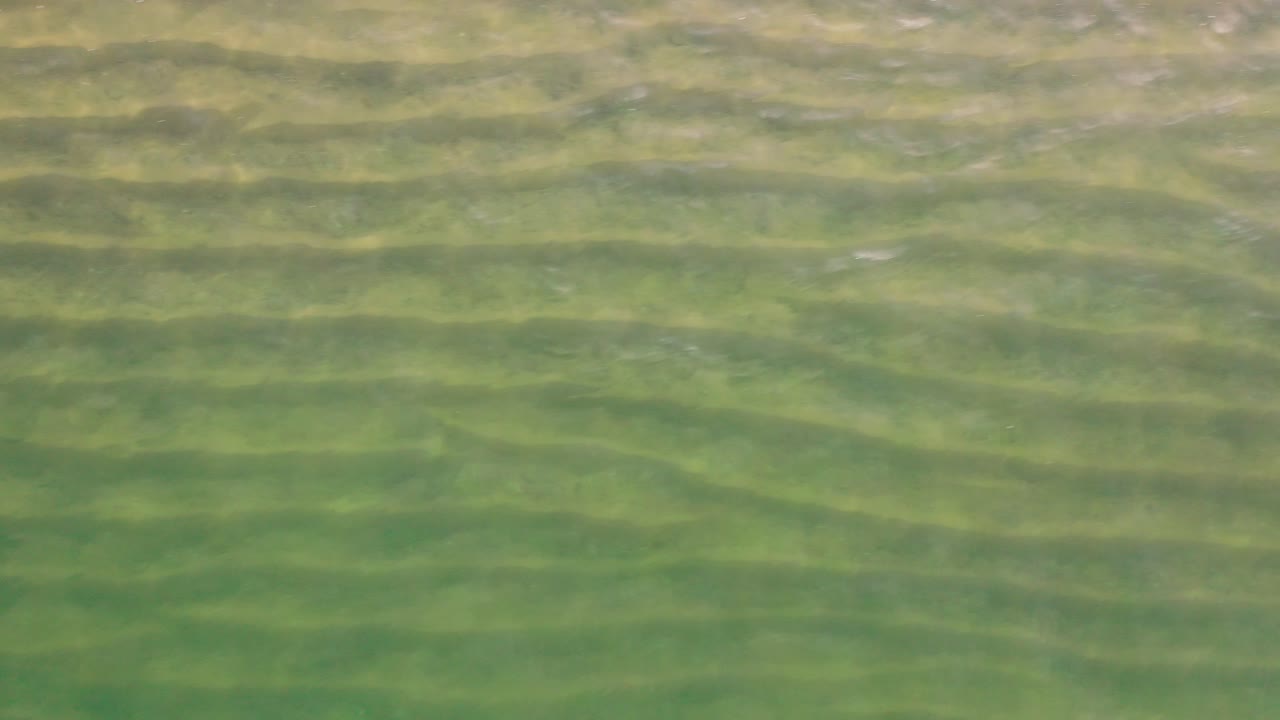 해변의 모래사장 위로 졸졸 흐르는 얕은 녹색 물 바로 위