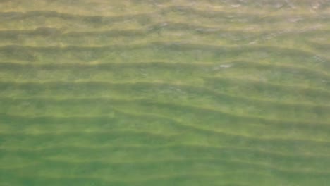 Direkt-über-Seichtem-Grünem-Wasser,-Das-über-Sandige-Linien-Am-Strand-Plätschert