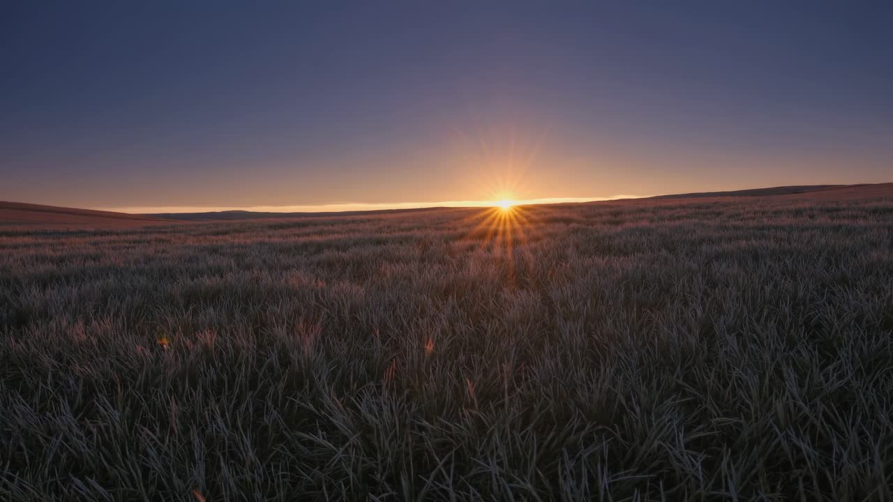 Wide-angle video frame capturing a serene landscape at dusk, with a horizon line dividing