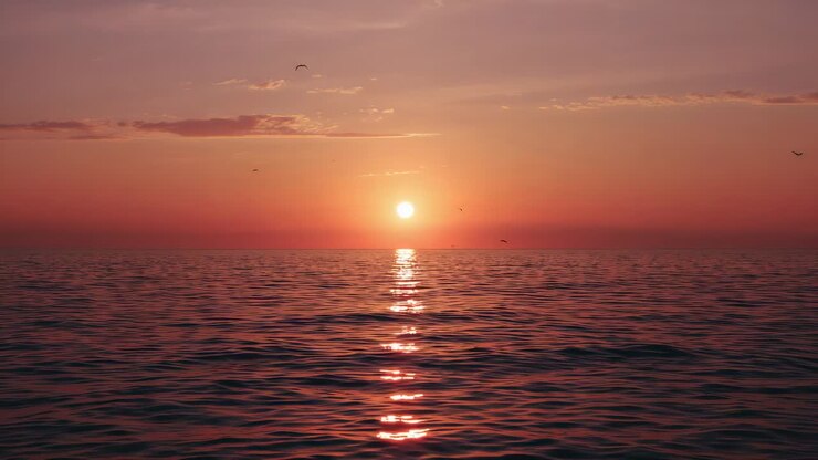 Approaching horizon sun disc creating vertical reflection on open sea with birds passing and buoy