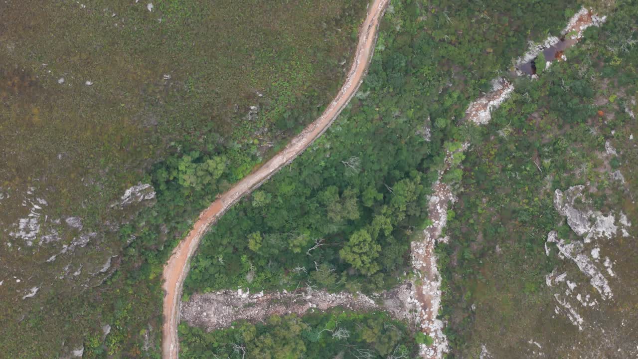 tomada aérea de arriba hacia abajo de una sinuosa ruta de senderismo paralela a un arroyo en el cabo occidental, sudáfrica. el dron captura el camino sinuoso a través de la naturaleza exuberante, siguiendo el curso del arroyo