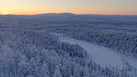 tilt aéreo disparado sobre árboles cubiertos de nieve, revelando acantilados, noche polar en laponia