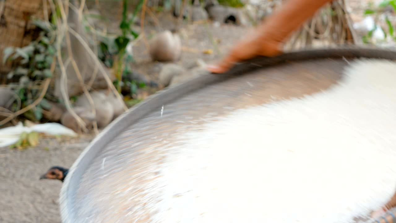 arroz en la canasta de trillar