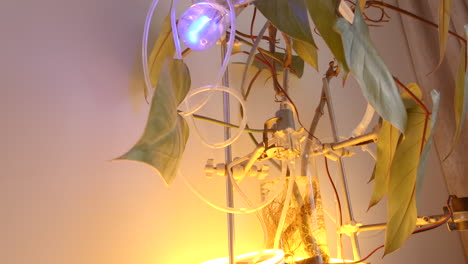 botanical science art installation
