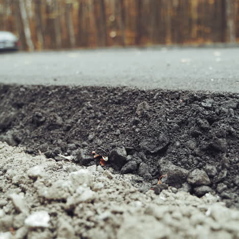 close-up of a big black asphalt roller machine pressing a new bitumen. compactor machine stucking hot asphalt with heavy vibrator doing new road.