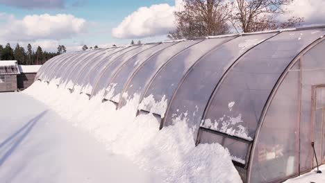 greenhouse in winter with snow