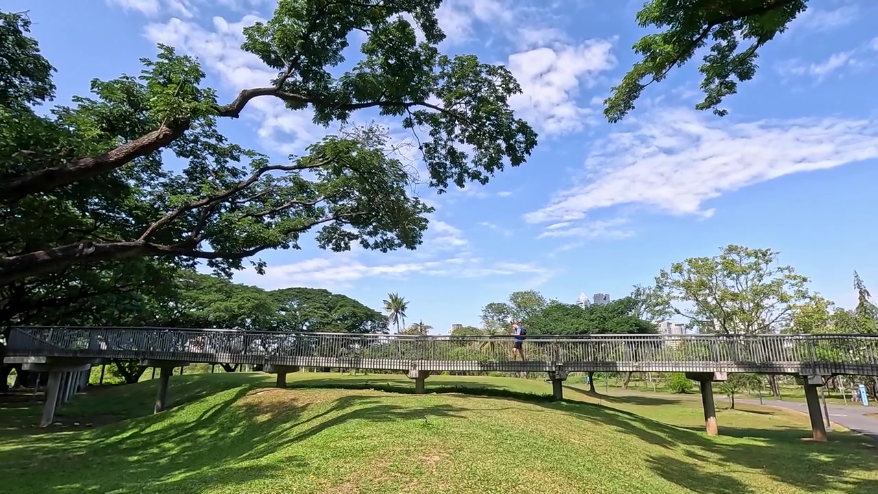澄み切った青空の下、緑の木々に囲まれた橋を走る男性の広角ショット