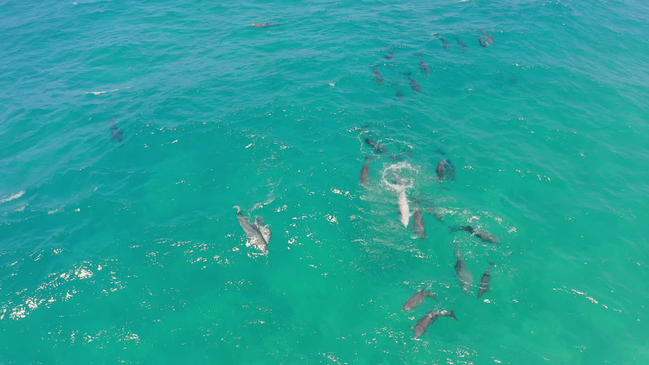 Look who's come to say hello