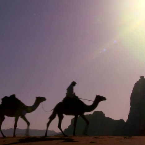 Un-Tren-De-Camellos-Cruza-El-Desierto-De-Arabia-En-Wadi-Rum-Jordan-1