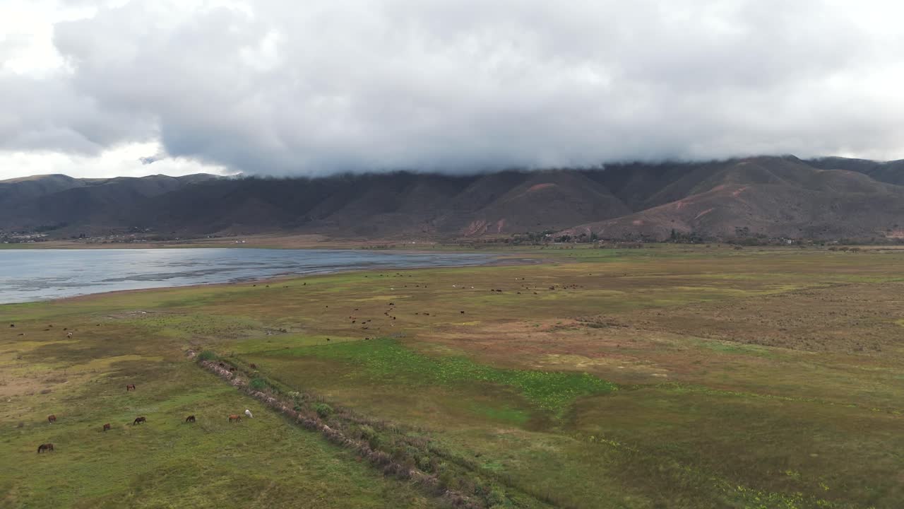 Panoramic view of a vast green landscape with grazing animals by a lake and mountains under cloudy skies