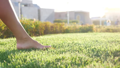 barefoot walking on grassy park