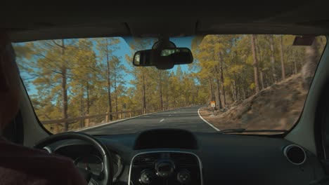 conducir al volcán teide y disfrutar del paisaje de tenerife