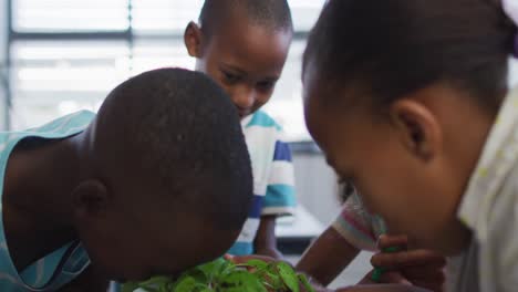 Eine-Vielfältige-Gruppe-Glücklicher-Schulkinder,-Die-Sich-Während-Des-Naturkundeunterrichts-Im-Klassenzimmer-Um-Pflanzen-Kümmern