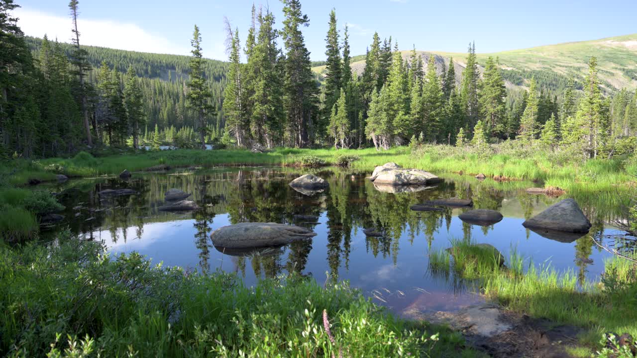 Calm pond reflecting the Rocky Mountains and pine trees during the early morning hours, static