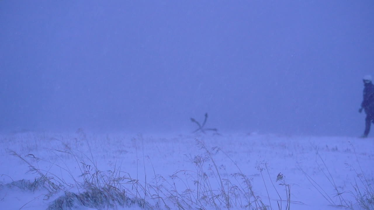 강한 바람이 부는 눈보라 속에서 느린 모를 걷는 외로운 여자, 안정적인 샷