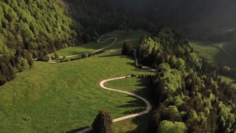 majestic mountain landscape with winding road and forest around, aerial view