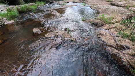 un arroyo sereno que fluye sobre las rocas