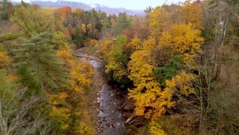 New-England-Brillante-Blattfarbe-über-Dem-Bach-In-Der-Gegend-Von-East-Arlington,-Vermont