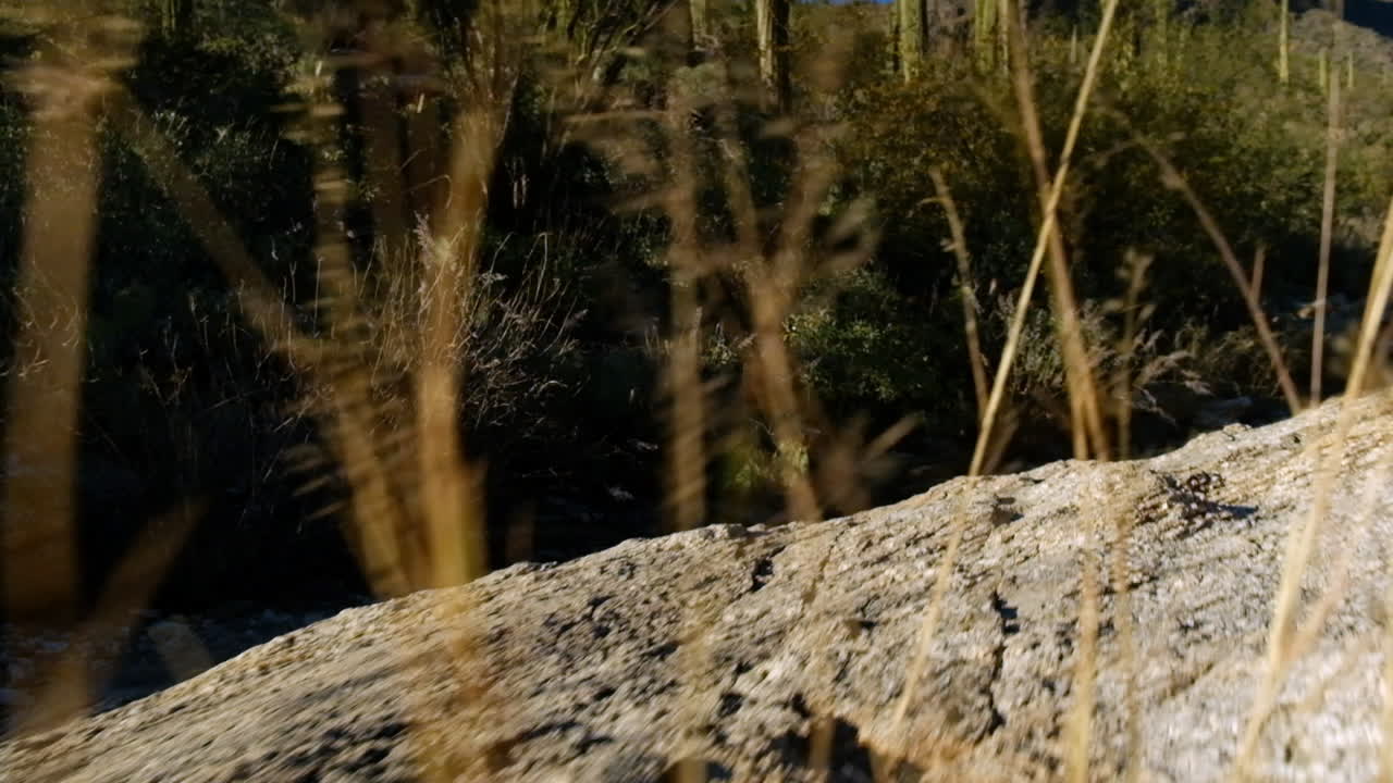 paisaje de borde de terreno rocoso del desierto del desierto de arizona en un día caluroso y húmedo