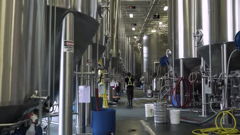 brewery worker walking through large line of brew kettles