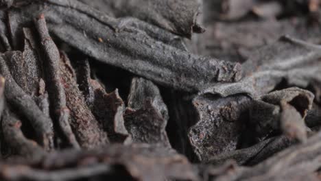 Black-large-leaf-tea-Super-Macro-Close-Up.