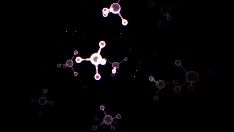 shine molecule rotation