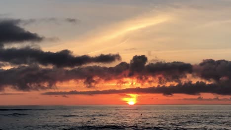 a silhouette of a bird flying over the pacific ocean at sunset. the orange sun is on the horizon with blue gray cloud formations above